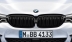 Решетки радиатора M Performance для BMW G30